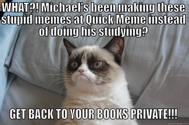 WHAT?! MICHAEL'S BEEN MAKING THESE STUPID MEMES AT QUICK MEME INSTEAD OF DOING HIS STUDYING? GET BACK TO YOUR BOOKS PRIVATE!!! Grumpy Cat