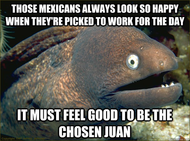 Those mexicans always look so happy when they're picked to work for the day It must feel good to be the chosen juan  Bad Joke Eel