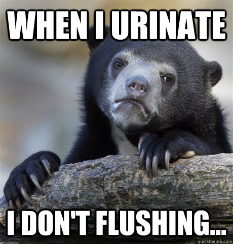 When I urinate I don't flushing...  Confession Bear