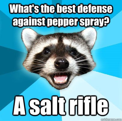 What's the best defense against pepper spray? A salt rifle  Lame Pun Coon