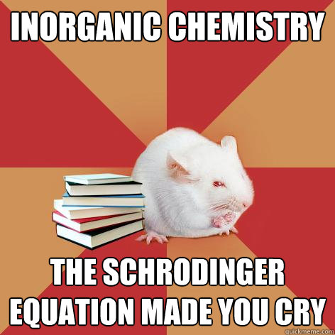 INORGANIC CHEMISTRY THE SchrOdinger equation MADE YOU CRY  Science Major Mouse