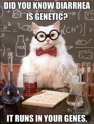 DID YOU KNOW DIARRHEA IS GENETIC? IT RUNS IN YOUR GENES.  Chemistry Cat