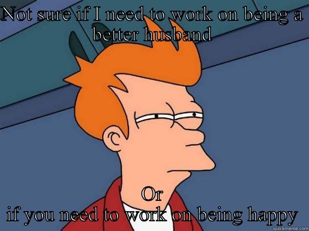 NOT SURE IF I NEED TO WORK ON BEING A BETTER HUSBAND OR IF YOU NEED TO WORK ON BEING HAPPY Futurama Fry