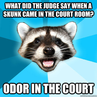 WHAT DID THE JUDGE SAY WHEN A SKUNK CAME IN THE COURT ROOM? ODOR IN THE COURT - WHAT DID THE JUDGE SAY WHEN A SKUNK CAME IN THE COURT ROOM? ODOR IN THE COURT  Lame Pun Coon