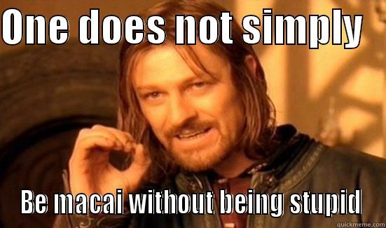 ONE DOES NOT SIMPLY    BE MACAI WITHOUT BEING STUPID Boromir