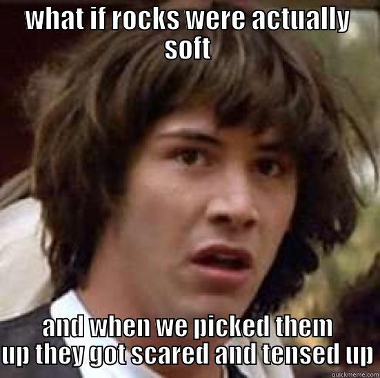 WHAT IF ROCKS WERE ACTUALLY SOFT AND WHEN WE PICKED THEM UP THEY GOT SCARED AND TENSED UP conspiracy keanu