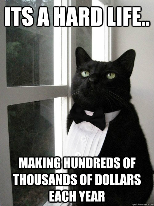 its a hard life.. making hundreds of thousands of dollars each year  One Percent Cat