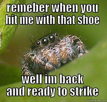 revenge spider - REMEBER WHEN YOU HIT ME WITH THAT SHOE WELL IM BACK AND READY TO STRIKE Misunderstood Spider