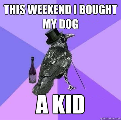this weekend i bought my dog a kid  Rich Raven