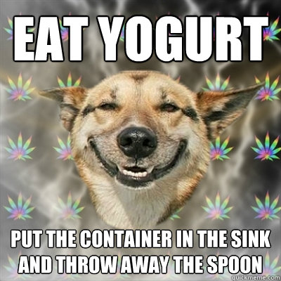 eat yogurt put the container in the sink and throw away the spoon  Stoner Dog