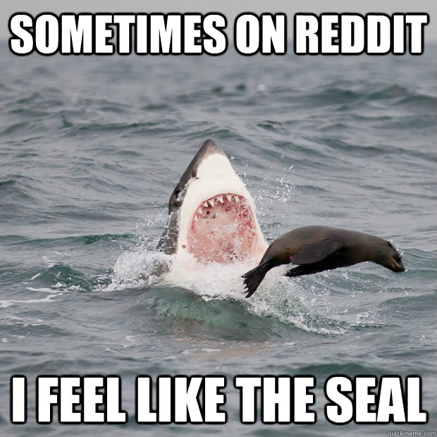 Sometimes on Reddit I feel like the seal - Sometimes on Reddit I feel like the seal  Misc