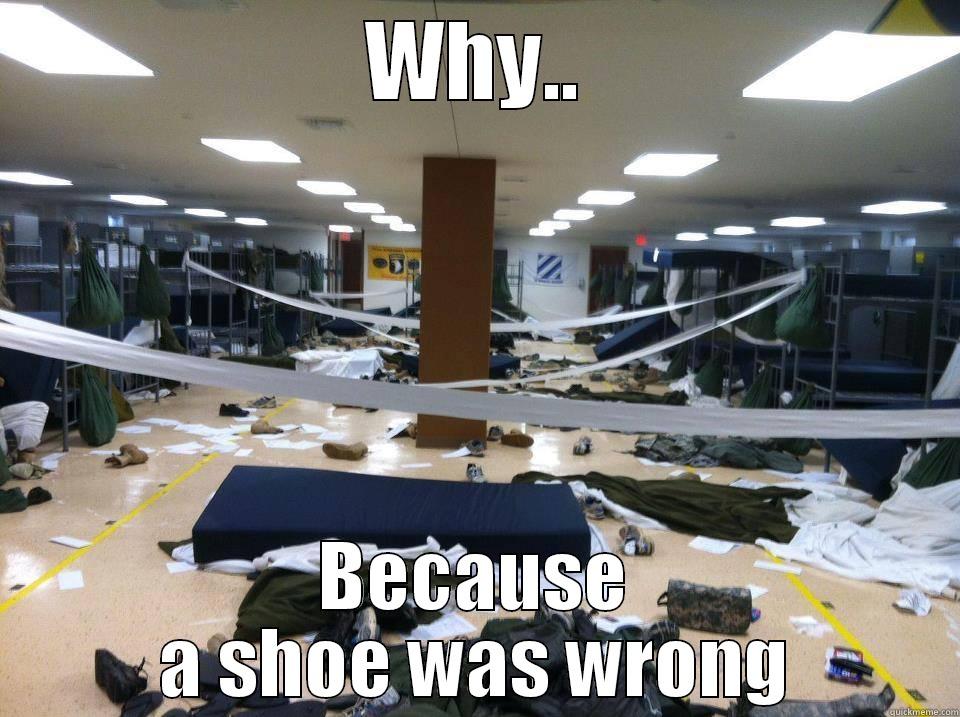 WHY.. BECAUSE A SHOE WAS WRONG Misc