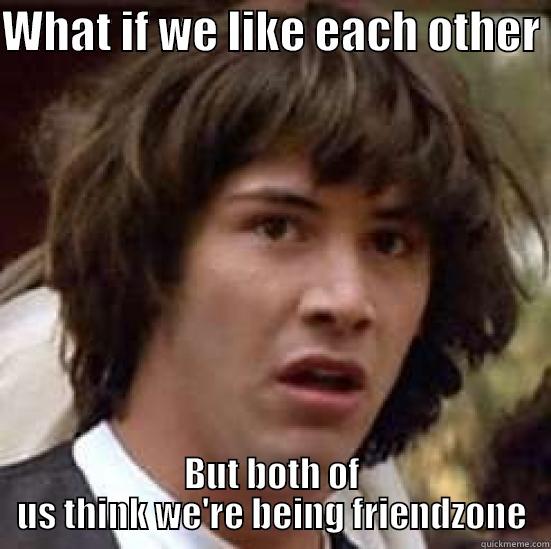 WHAT IF WE LIKE EACH OTHER  BUT BOTH OF US THINK WE'RE BEING FRIENDZONE conspiracy keanu