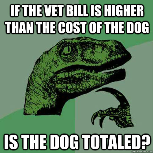 If the vet bill is higher than the cost of the dog is the dog totaled? - If the vet bill is higher than the cost of the dog is the dog totaled?  Philosoraptor