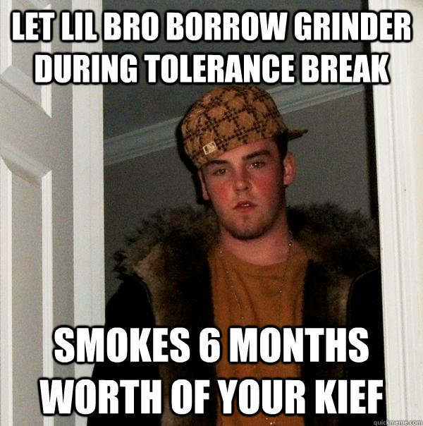 Let lil bro borrow grinder during tolerance break Smokes 6 months worth of your kief  Scumbag Steve