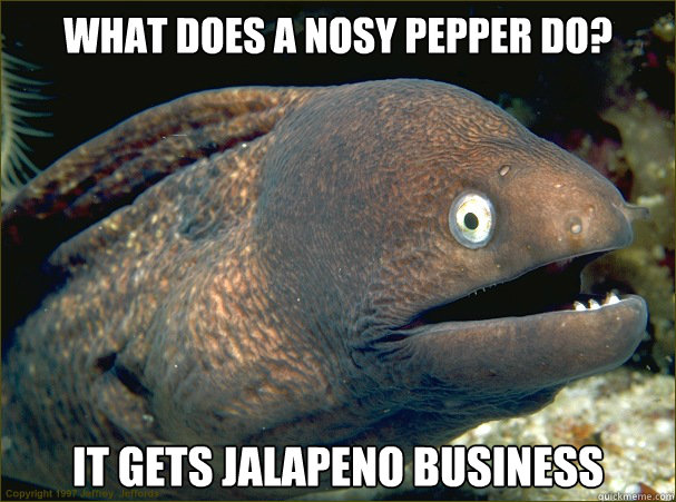 What does a nosy pepper do? It gets Jalapeno business   Bad Joke Eel