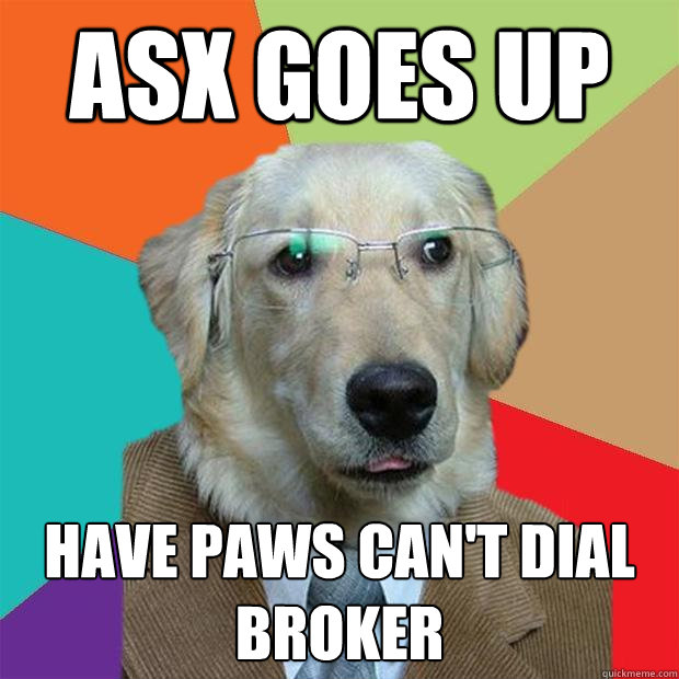 ASX goes up have paws can't dial broker  Business Dog