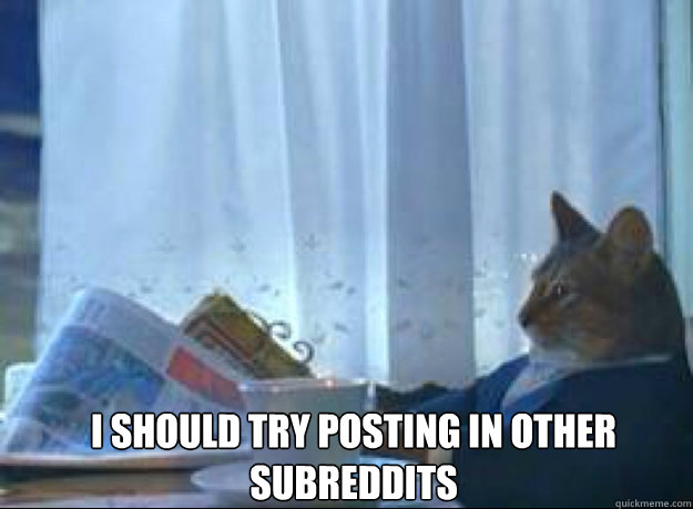 I should try posting in other subreddits   I should buy a boat cat