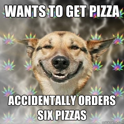 Wants To get pizza accidentally orders six pizzas  Stoner Dog