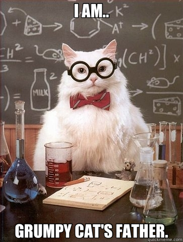 I AM.. GRUMPY CAT'S FATHER.  Chemistry Cat