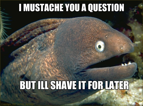 I MUSTACHE YOU A QUESTION BUT ILL SHAVE IT FOR LATER  Bad Joke Eel