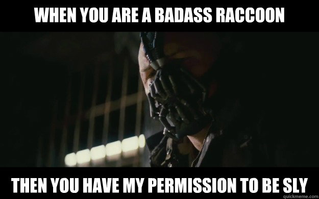 When You are a badass raccoon Then you have my permission to be Sly - When You are a badass raccoon Then you have my permission to be Sly  Badass Bane