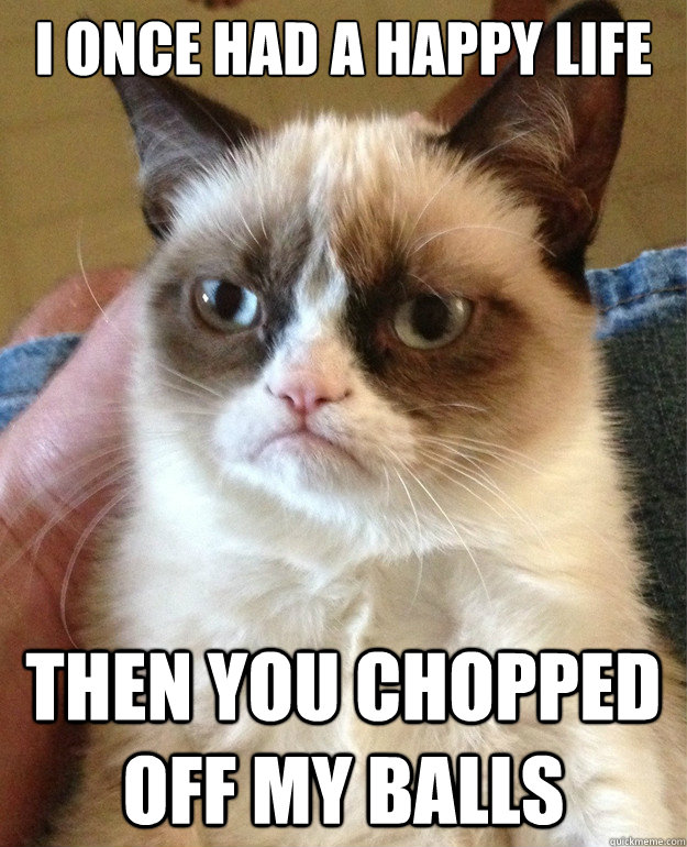 I once had a happy life Then you chopped off my balls  Grumpy Cat