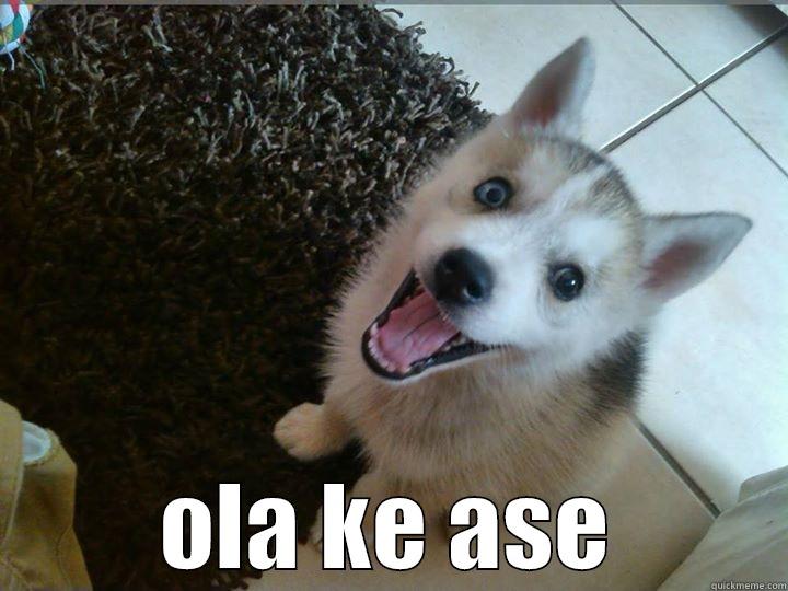 ola ke ase -  OLA KE ASE Misc