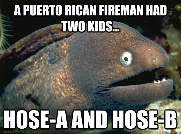 a puerto rican fireman had two kids... hose-a and hose-b  Bad Joke Eel