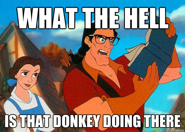 What the hell is that donkey doing there  Hipster Gaston 2