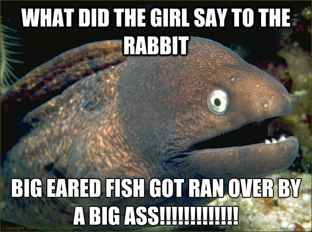 what did the girl say tO the rabbit BIG EARED FISH GOT RAN OVER BY A BIG ASS!!!!!!!!!!!!!  Bad Joke Eel