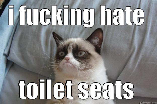 Thetoiletseatwontfitatall  - I FUCKING HATE TOILET SEATS Grumpy Cat