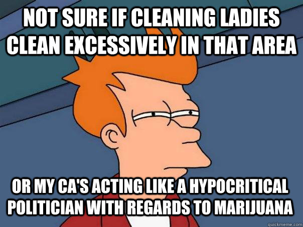 Not sure if cleaning ladies clean excessively in that area or my CA's acting like a hypocritical politician with regards to marijuana - Not sure if cleaning ladies clean excessively in that area or my CA's acting like a hypocritical politician with regards to marijuana  Futurama Fry