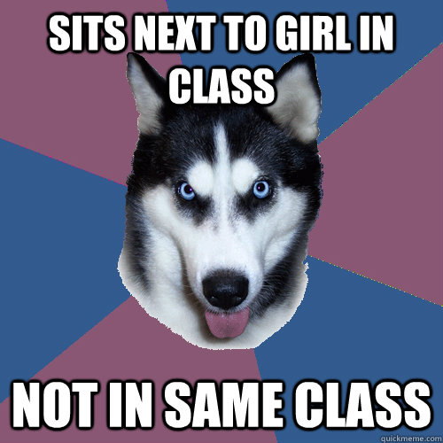 sits next to girl in class not in same class - sits next to girl in class not in same class  Creeper Canine