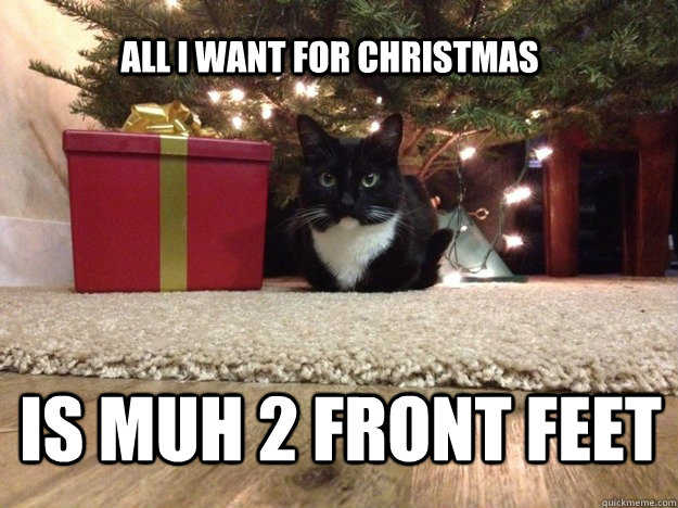 All I want for Christmas Is muh 2 front feet  All I want for Christmas