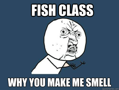 Fish Class why you make me smell  Y U No