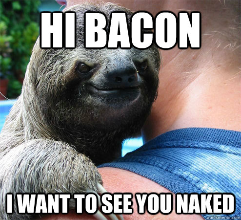 hi bacon i want to see you naked  Suspiciously Evil Sloth