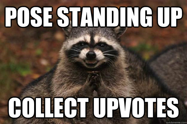 Pose standing up Collect upvotes  Evil Plotting Raccoon