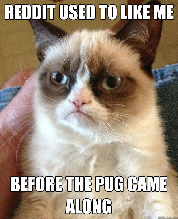 Reddit used to like me before the pug came along  Grumpy Cat