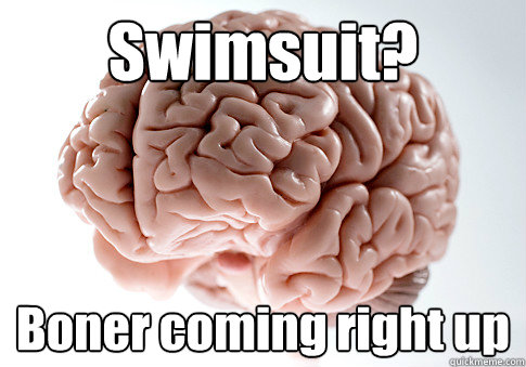 Swimsuit? Boner coming right up  Scumbag Brain