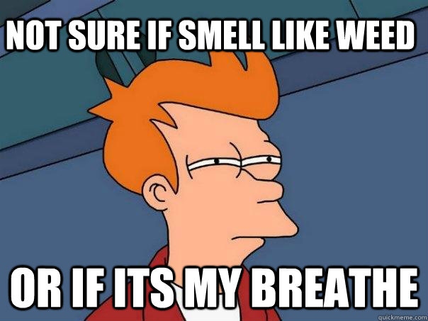 Not sure if smell like weed Or if its my breathe  Futurama Fry