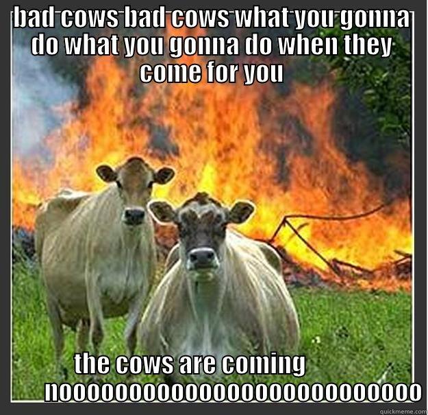 BAD COWS BAD COWS WHAT YOU GONNA DO WHAT YOU GONNA DO WHEN THEY COME FOR YOU THE COWS ARE COMING                   NOOOOOOOOOOOOOOOOOOOOOOOOOO Evil cows