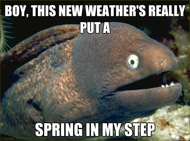 Boy, this new weather's really put a spring in my step - Boy, this new weather's really put a spring in my step  Bad Joke Eel