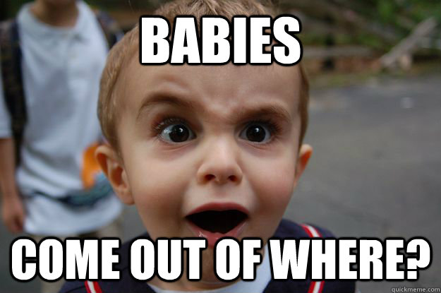 Babies come out of where? - Babies come out of where?  Misc