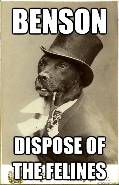 benson dispose of the felines - benson dispose of the felines  Old Money Dog