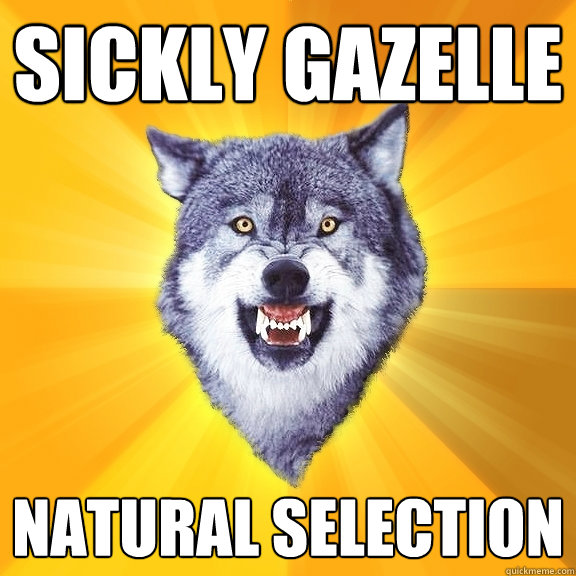 sickly gazelle natural selection - sickly gazelle natural selection  Courage Wolf