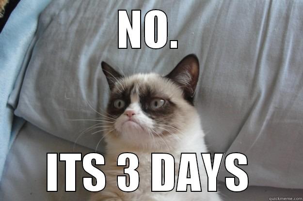 NO. ITS 3 DAYS Grumpy Cat