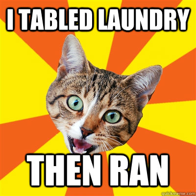 I tabled laundry  then ran  Bad Advice Cat