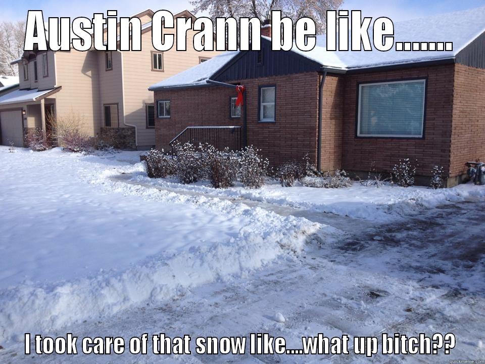 AUSTIN CRANN BE LIKE....... I TOOK CARE OF THAT SNOW LIKE....WHAT UP BITCH?? Misc