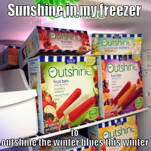 A freezer full of Sunshine to Outshine. - SUNSHINE IN MY FREEZER TO OUTSHINE THE WINTER BLUES THIS WINTER Misc